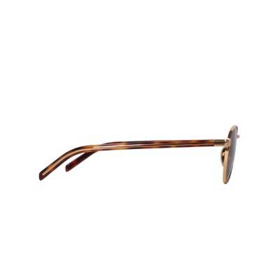 52S Sunglasses With The Iconic Metal Plaque Gold Dark Brown