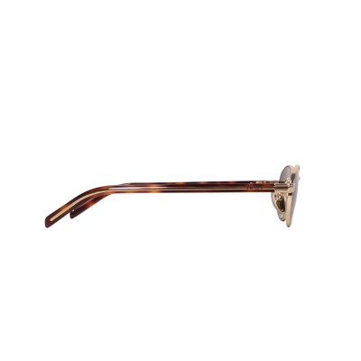 53S Sunglasses With The Iconic Metal Plaque Gold Dark Brown